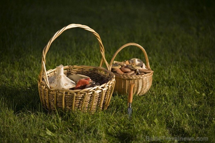 Igaunijā iestājas zelta rudens, pārvēršot tās dabu un darbus rudens krāsās. Foto: www.visitestonia.com Igaunijā iestājas zelta rudens, pārvēršot tās dabu un darbus rudens krāsās. Foto: www.visitestonia.com 82426