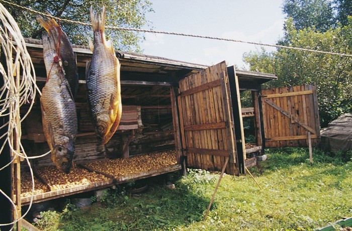 Igaunijā iestājas zelta rudens, pārvēršot tās dabu un darbus rudens krāsās. Foto: www.visitestonia.com Igaunijā iestājas zelta rudens, pārvēršot tās dabu un darbus rudens krāsās. Foto: www.visitestonia.com 82429