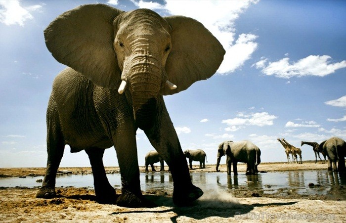 Namībija ir valsts Āfrikas dienvidrietumu piekrastē, kuras dzīvē daba neatstāj vienaldzīgu nevienu dabas mīļotāju. Foto: www.namibiatourism.com Namībija ir valsts Āfrikas dienvidrietumu piekrastē, kuras dzīvē daba neatstāj vienaldzīgu nevienu dabas mīļotāju. Foto: www.namibiatourism.com 82906