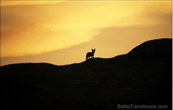 Namībija ir valsts Āfrikas dienvidrietumu piekrastē, kuras dzīvē daba neatstāj vienaldzīgu nevienu dabas mīļotāju. Foto: www.namibiatourism.com Namībija ir valsts Āfrikas dienvidrietumu piekrastē, kuras dzīvē daba neatstāj vienaldzīgu nevienu dabas mīļotāju. Foto: www.namibiatourism.com 82914