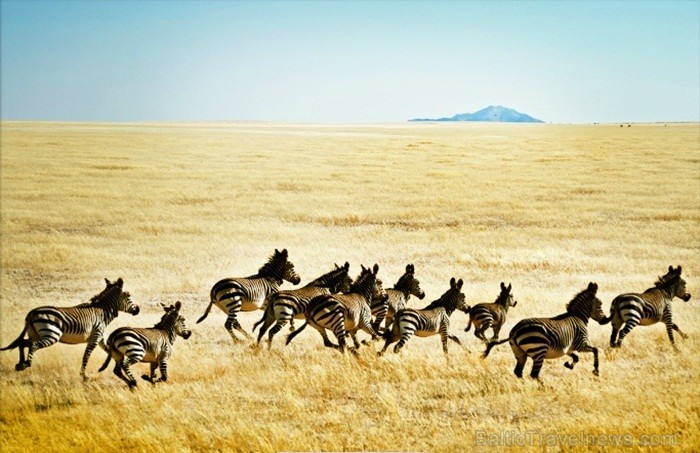 Namībija ir valsts Āfrikas dienvidrietumu piekrastē, kuras dzīvē daba neatstāj vienaldzīgu nevienu dabas mīļotāju. Foto: www.namibiatourism.com Namībija ir valsts Āfrikas dienvidrietumu piekrastē, kuras dzīvē daba neatstāj vienaldzīgu nevienu dabas mīļotāju. Foto: www.namibiatourism.com 82918