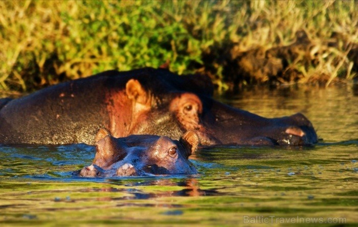 Namībija ir valsts Āfrikas dienvidrietumu piekrastē, kuras dzīvē daba neatstāj vienaldzīgu nevienu dabas mīļotāju. Foto: www.namibiatourism.com Namībija ir valsts Āfrikas dienvidrietumu piekrastē, kuras dzīvē daba neatstāj vienaldzīgu nevienu dabas mīļotāju. Foto: www.namibiatourism.com 82925