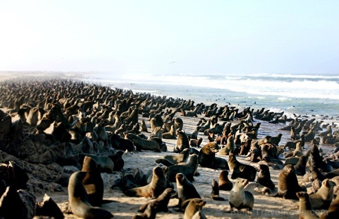 Namībija ir valsts Āfrikas dienvidrietumu piekrastē, kuras dzīvē daba neatstāj vienaldzīgu nevienu dabas mīļotāju. Foto: www.namibiatourism.com Namībija ir valsts Āfrikas dienvidrietumu piekrastē, kuras dzīvē daba neatstāj vienaldzīgu nevienu dabas mīļotāju. Foto: www.namibiatourism.com 82930