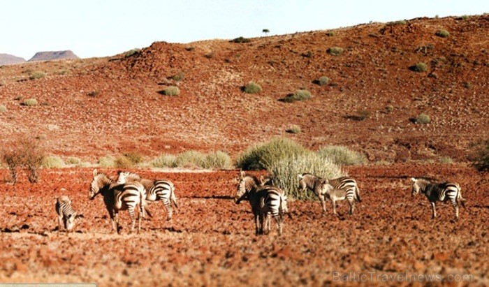 Namībija ir valsts Āfrikas dienvidrietumu piekrastē, kuras dzīvē daba neatstāj vienaldzīgu nevienu dabas mīļotāju. Foto: www.namibiatourism.com Namībija ir valsts Āfrikas dienvidrietumu piekrastē, kuras dzīvē daba neatstāj vienaldzīgu nevienu dabas mīļotāju. Foto: www.namibiatourism.com 82935