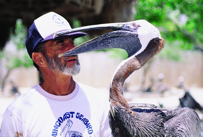 Saulainā Florida, kur saule spīd 300 dienas gadā, spēj apburt ikvienu. Foto: www.visitclearwaterflorida.com Saulainā Florida, kur saule spīd 300 dienas gadā, spēj apburt ikvienu. Foto: www.visitclearwaterflorida.com 82982