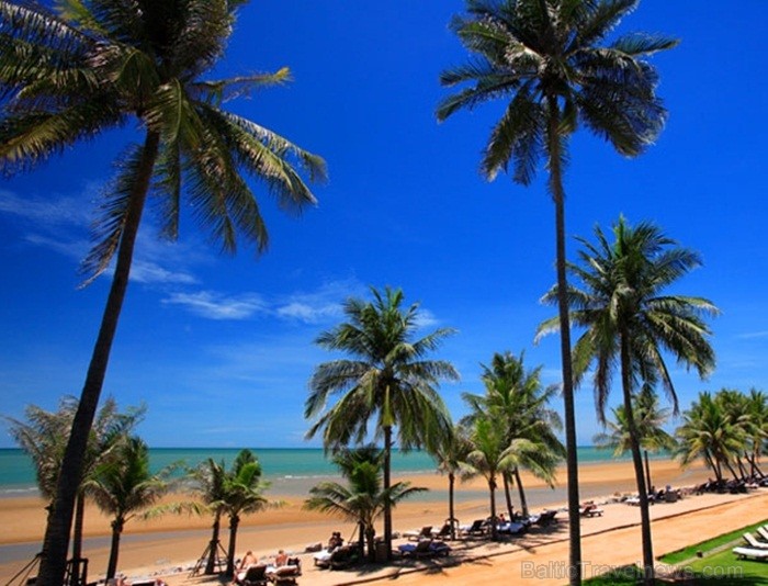 Eksotiskā Taizemes daba un fauna atklāj savu skaistuma virpuli. Foto: www.tourismthailand.org 83284