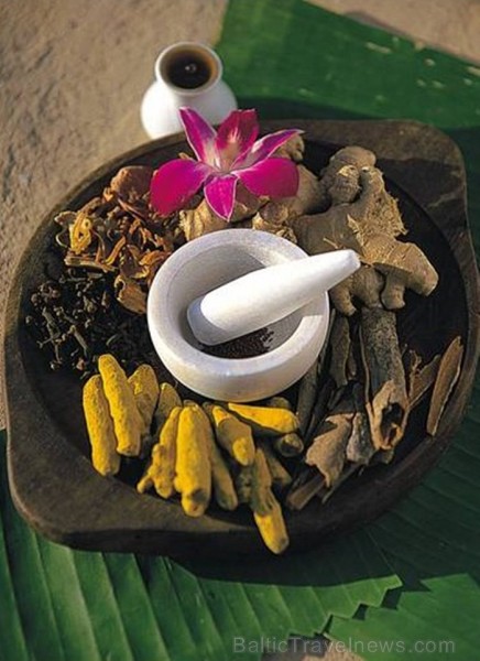Indija apbur un ļauj paraudzīties uz tās dabu un kultūru no cita skatu punkta. Foto: www.india-tourism.com Indija apbur un ļauj paraudzīties uz tās dabu un kultūru no cita skatu punkta. Foto: www.india-tourism.com 83361