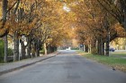 Vēl pēdējā iespēja apmeklēt Siguldu un Gaujas ieleju rudens skaistumā