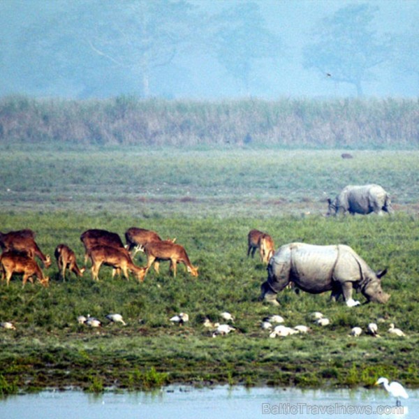 Asama ir skaists un daudzveidīgs štats Indijas ziemeļaustrumos. Foto: www.assamtourism.org 83784