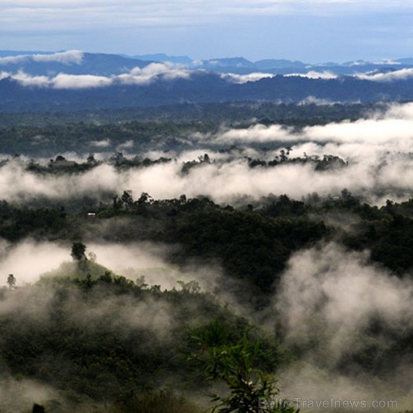 Asama ir skaists un daudzveidīgs štats Indijas ziemeļaustrumos. Foto: www.assamtourism.org 83793