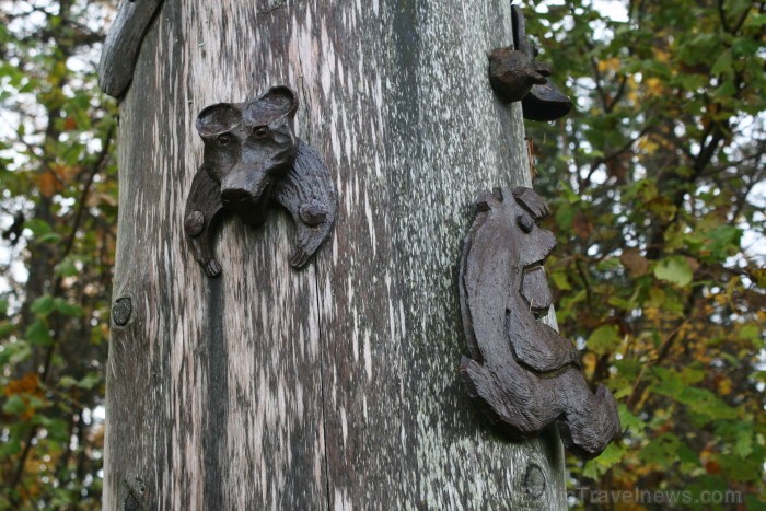 Simbols tam, ka šajā nemitīgi mainīgajā pasaulē cilvēks ir daļa dabas - viss balstās dabas noteikumos un līdzsvarā.
Foto: www.terviseturism.ee Simbols tam, ka šajā nemitīgi mainīgajā pasaulē cilvēks ir daļa dabas - viss balstās dabas noteikumos un līdzsvarā.
Foto: www.terviseturism.ee 84036