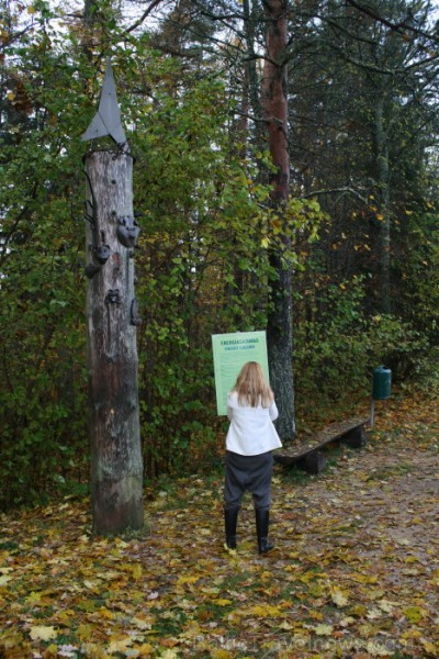 Simbols tam, ka šajā nemitīgi mainīgajā pasaulē cilvēks ir daļa dabas - viss balstās dabas noteikumos un līdzsvarā. Foto: www.terviseturism.ee Simbols tam, ka šajā nemitīgi mainīgajā pasaulē cilvēks ir daļa dabas - viss balstās dabas noteikumos un līdzsvarā. Foto: www.terviseturism.ee 84037
