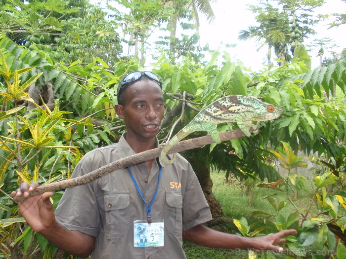 Madagaskaras sala Nosy Be jeb Lielā sala piedāvā tās viesiem plašu dabas un augu dažādību. Foto: www.a-sono.lv Madagaskaras sala Nosy Be jeb Lielā sala piedāvā tās viesiem plašu dabas un augu dažādību. Foto: www.a-sono.lv 84093