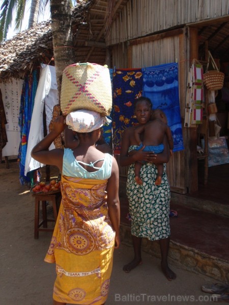 Madagaskaras sala Nosy Be jeb Lielā sala piedāvā tās viesiem plašu dabas un augu dažādību. Foto: www.a-sono.lv Madagaskaras sala Nosy Be jeb Lielā sala piedāvā tās viesiem plašu dabas un augu dažādību. Foto: www.a-sono.lv 84097