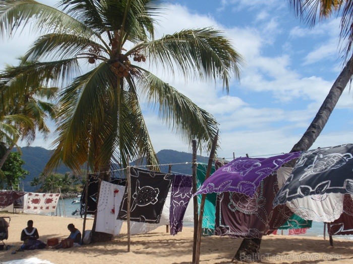 Madagaskaras sala Nosy Be jeb Lielā sala piedāvā tās viesiem plašu dabas un augu dažādību. Foto: www.a-sono.lv Madagaskaras sala Nosy Be jeb Lielā sala piedāvā tās viesiem plašu dabas un augu dažādību. Foto: www.a-sono.lv 84098