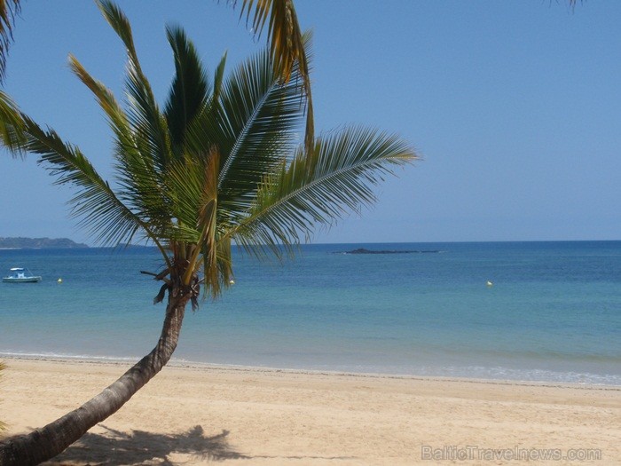 Madagaskaras sala Nosy Be jeb Lielā sala piedāvā tās viesiem plašu dabas un augu dažādību. Foto: www.a-sono.lv Madagaskaras sala Nosy Be jeb Lielā sala piedāvā tās viesiem plašu dabas un augu dažādību. Foto: www.a-sono.lv 84101