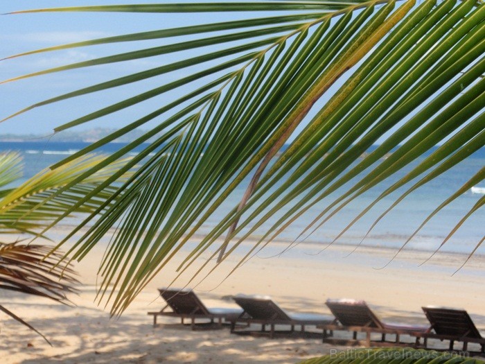 Madagaskaras sala Nosy Be jeb Lielā sala piedāvā tās viesiem plašu dabas un augu dažādību. Foto: www.a-sono.lv Madagaskaras sala Nosy Be jeb Lielā sala piedāvā tās viesiem plašu dabas un augu dažādību. Foto: www.a-sono.lv 84106