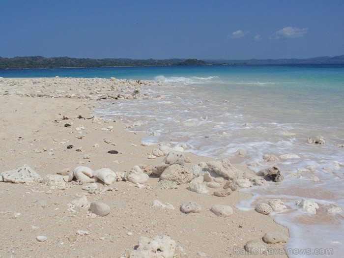 Madagaskaras sala Nosy Be jeb Lielā sala piedāvā tās viesiem plašu dabas un augu dažādību. Foto: www.a-sono.lv Madagaskaras sala Nosy Be jeb Lielā sala piedāvā tās viesiem plašu dabas un augu dažādību. Foto: www.a-sono.lv 84110