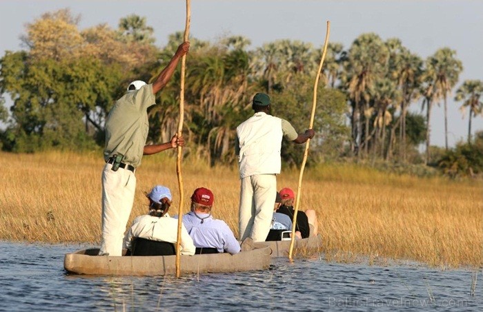 Āfrikas kontinentā Botsvāna ir labi zināma ar saviem mežonīgajiem apgabaliem un savvaļu. Foto: www.botswanatourism.co.bw Āfrikas kontinentā Botsvāna ir labi zināma ar saviem mežonīgajiem apgabaliem un savvaļu. Foto: www.botswanatourism.co.bw 84268