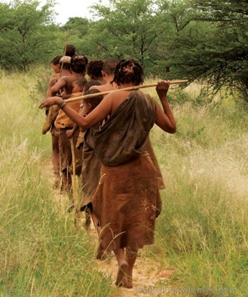 Āfrikas kontinentā Botsvāna ir labi zināma ar saviem mežonīgajiem apgabaliem un savvaļu. Foto: www.botswanatourism.co.bw Āfrikas kontinentā Botsvāna ir labi zināma ar saviem mežonīgajiem apgabaliem un savvaļu. Foto: www.botswanatourism.co.bw 84272