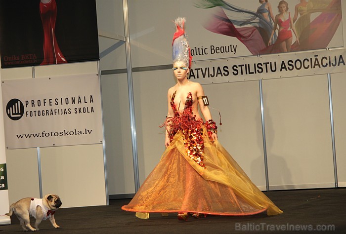 Skaistumkopšanas izstādes «Baltic Beauty 2012» konkursi - «Body art 2012» un asociatīvā tēla konkurss. Foto sponsors: www.startours.lv Skaistumkopšanas izstādes «Baltic Beauty 2012» konkursi - «Body art 2012» un asociatīvā tēla konkurss. Foto sponsors: www.startours.lv 84303