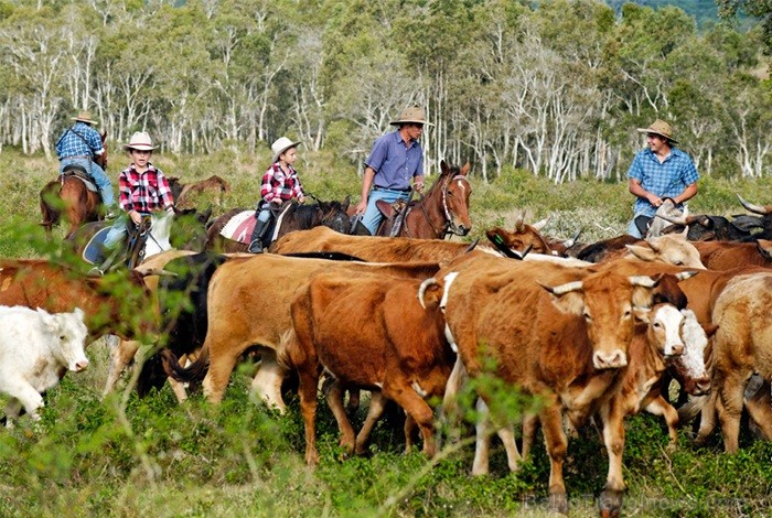 Jaunkaledonija ir Francijai piederoša salu grupa Klusajā okeānā, kas atrodas aptuveni 1200km no Austrālijas Ziemeļaustrumkrasta. Foto: www.visitnewcal Jaunkaledonija ir Francijai piederoša salu grupa Klusajā okeānā, kas atrodas aptuveni 1200km no Austrālijas Ziemeļaustrumkrasta. Foto: www.visitnewcal 84656