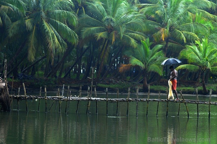 Kerala ir viens no Indijas štatiem, kas atrodas Indostānas pussalas dienvidos un Keralu sauc par Dievu, maģijas un garšvielu zemi. Foto:www.keralatour Kerala ir viens no Indijas štatiem, kas atrodas Indostānas pussalas dienvidos un Keralu sauc par Dievu, maģijas un garšvielu zemi. Foto:www.keralatour 84726