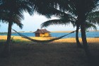 Indijas dienvidrietumu štats - Kerala