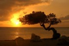 Karību jūras dienvidu sala - Aruba