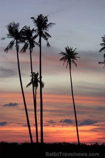 Bruneja ir sultanāts Āzijas dienvidos Borneo salas ziemeļrietumu daļā un šīs valsts galvaspilsēta ir Bandarseribegavana. Foto: www.bruneitourism.trave Bruneja ir sultanāts Āzijas dienvidos Borneo salas ziemeļrietumu daļā un šīs valsts galvaspilsēta ir Bandarseribegavana. Foto: www.bruneitourism.trave 85953