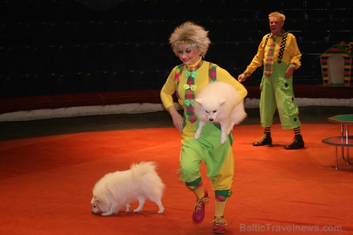 Rīgas cirks 14.12.2012 prezentēja jauno Ziemassvētku cirka programmu Rīgas cirks 14.12.2012 prezentēja jauno Ziemassvētku cirka programmu