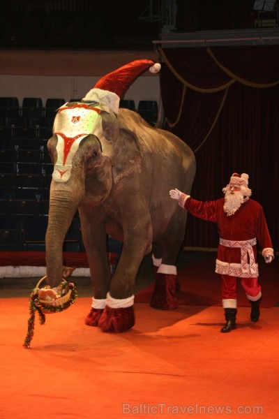 Rīgas cirks 14.12.2012 prezentēja jauno Ziemassvētku cirka programmu Rīgas cirks 14.12.2012 prezentēja jauno Ziemassvētku cirka programmu