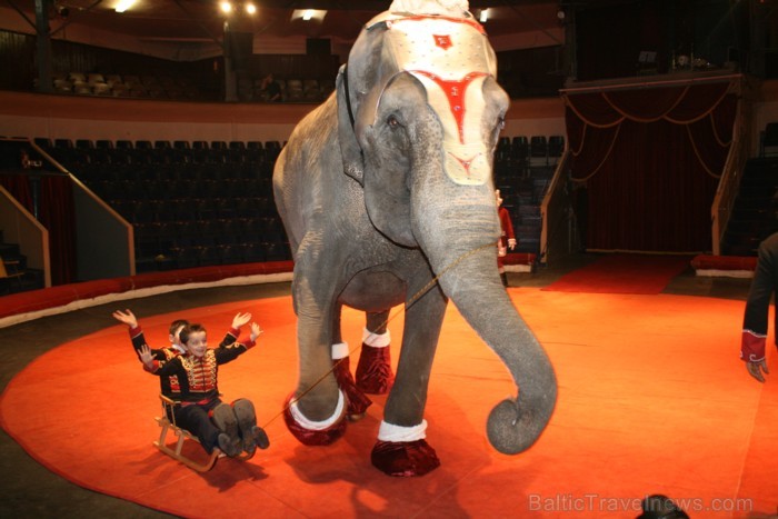Rīgas cirks 14.12.2012 prezentēja jauno Ziemassvētku cirka programmu Rīgas cirks 14.12.2012 prezentēja jauno Ziemassvētku cirka programmu