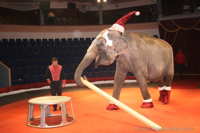 Rīgas cirks 14.12.2012 prezentēja jauno Ziemassvētku cirka programmu Rīgas cirks 14.12.2012 prezentēja jauno Ziemassvētku cirka programmu