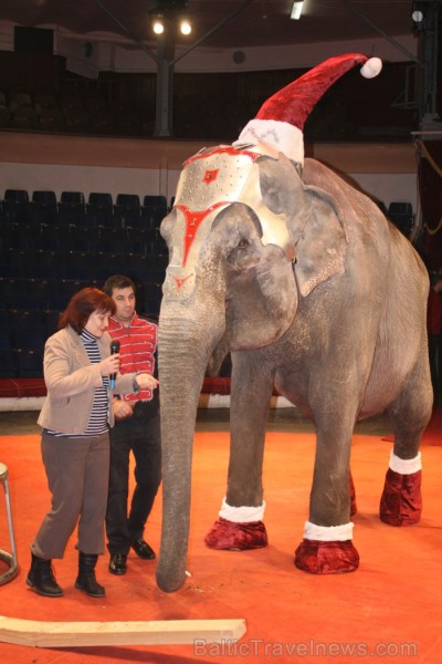 Rīgas cirks 14.12.2012 prezentēja jauno Ziemassvētku cirka programmu Rīgas cirks 14.12.2012 prezentēja jauno Ziemassvētku cirka programmu