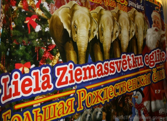 Rīgas cirks 14.12.2012 prezentēja jauno Ziemassvētku cirka programmu Rīgas cirks 14.12.2012 prezentēja jauno Ziemassvētku cirka programmu