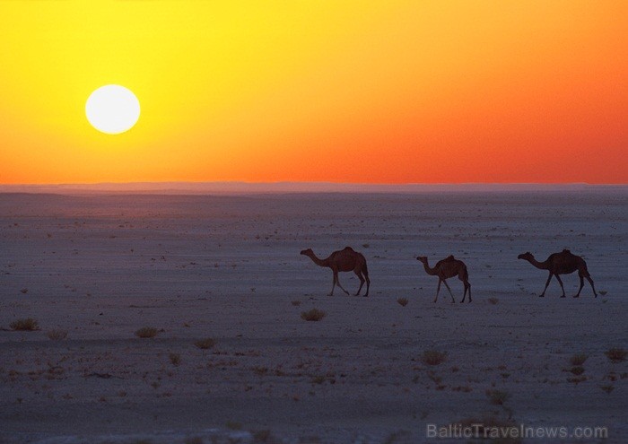 Omānas Sultanāts tiek dēvēts par vienu no tradicionālākajām un skaistākajām arābu zemēm. Foto: Oman Ministry of Tourism Omānas Sultanāts tiek dēvēts par vienu no tradicionālākajām un skaistākajām arābu zemēm. Foto: Oman Ministry of Tourism 86807