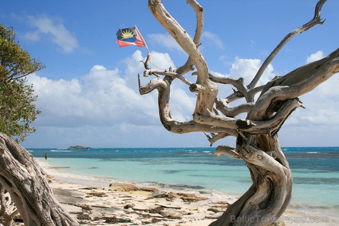 Antigva un Barbuda ir saulaina valsts Karību jūrā un valsts teritorijā ir trīs salas - Antigva, Barbuda un neapdzīvotā Redonda. Foto: Antigua & Barbud Antigva un Barbuda ir saulaina valsts Karību jūrā un valsts teritorijā ir trīs salas - Antigva, Barbuda un neapdzīvotā Redonda. Foto: Antigua & Barbud 86842