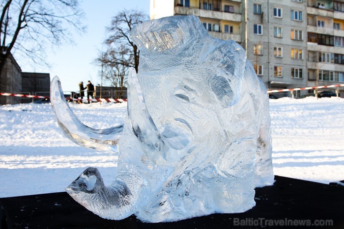 Svētdien, 27.01.2013, vairāk nekā 1000 Vecmīlgrāvja iedzīvotāju ar prieku nodevās Svētdien, 27.01.2013, vairāk nekā 1000 Vecmīlgrāvja iedzīvotāju ar prieku nodevās