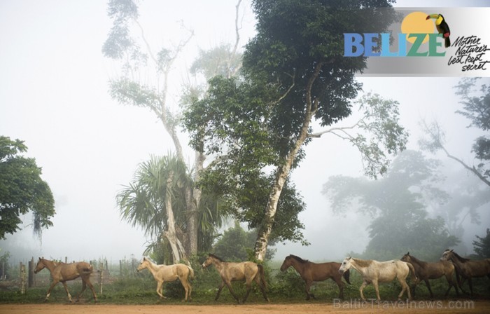 Beliza - neliela valsts Centrālamerikā pie Karību jūras. Piemērots galamērķis tiem, kuri meklē unikālu un neskartu galamērķi, lai gūtu neaizmirstamu p Beliza - neliela valsts Centrālamerikā pie Karību jūras. Piemērots galamērķis tiem, kuri meklē unikālu un neskartu galamērķi, lai gūtu neaizmirstamu p 88916
