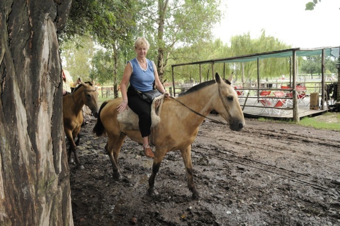Diena pa Rančo - iespēja jāt ar zirgiem - www.traveltime.lv 89366