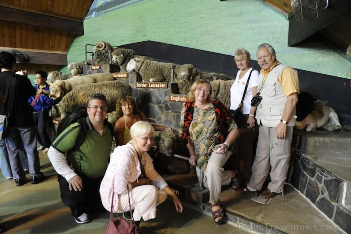 Nākošajā dienā mēs baudījām Agrodome šovu, kas ir tradicionālais Jaunzēlandes pasākums, kur var iepazīsties ar Jaunzēlandes kultūru - www.traveltime.l 89463