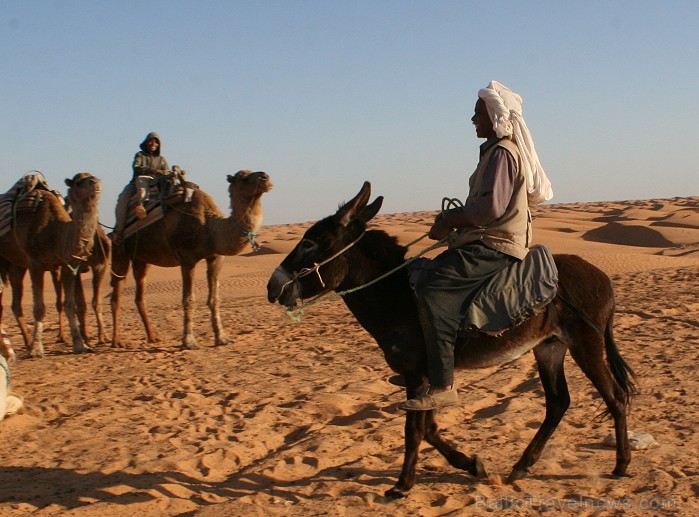 Dodies ar kamieli iepazīt Sahāras saullēktu Tunisijā. Vairāk informācijas par Tunisiju kā tūrisma galamērķi www.tourisme.gov.tn Dodies ar kamieli iepazīt Sahāras saullēktu Tunisijā. Vairāk informācijas par Tunisiju kā tūrisma galamērķi www.tourisme.gov.tn 90053