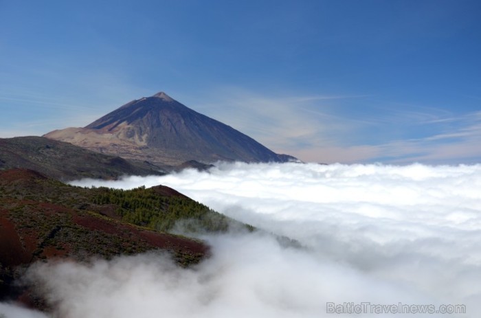 Teide paliek, sarausta augstāk pūkaino, mīksto, koši balto mākoņu segu  ap savām zaļajām 