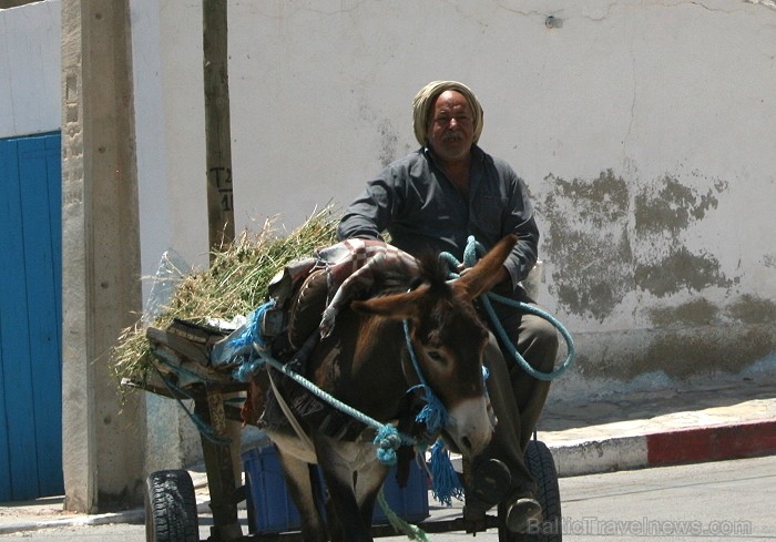 Douz – ir tipisks Tunisijas ciemats tuksnesī: tirdziņos šeit var nopirkt berberu rotaslietas un kamieļu ādas izstrādājumus, iedzīvotāji audzina vēja s Douz – ir tipisks Tunisijas ciemats tuksnesī: tirdziņos šeit var nopirkt berberu rotaslietas un kamieļu ādas izstrādājumus, iedzīvotāji audzina vēja s 90302