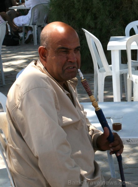 Douz – ir tipisks Tunisijas ciemats tuksnesī: tirdziņos šeit var nopirkt berberu rotaslietas un kamieļu ādas izstrādājumus, iedzīvotāji audzina vēja s Douz – ir tipisks Tunisijas ciemats tuksnesī: tirdziņos šeit var nopirkt berberu rotaslietas un kamieļu ādas izstrādājumus, iedzīvotāji audzina vēja s 90308