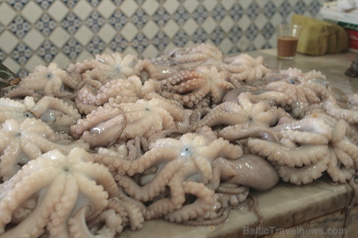 Dodies Tunisijas kolorīta meklējumos uz Mahdijas pilsētas vietējo ostas tirdziņu 90623