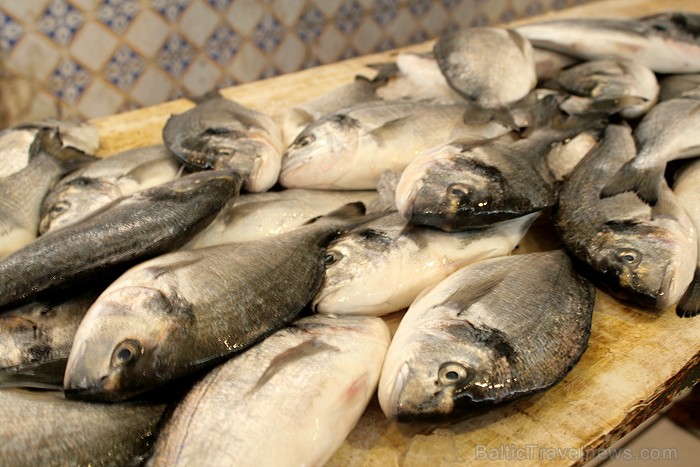 Dodies Tunisijas kolorīta meklējumos uz Mahdijas pilsētas vietējo ostas tirdziņu 90629