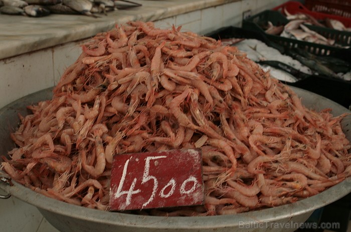 Dodies Tunisijas kolorīta meklējumos uz Mahdijas pilsētas vietējo ostas tirdziņu 90633