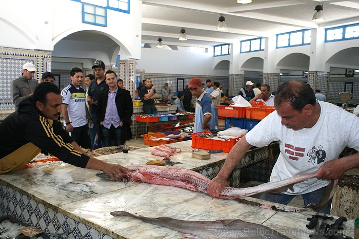 Dodies Tunisijas kolorīta meklējumos uz Mahdijas pilsētas vietējo ostas tirdziņu 90638
